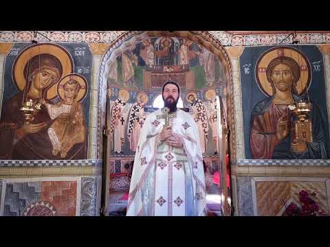 Видео: 2022 07 10 Недеља 4. по Педесетници - о. Јоаким