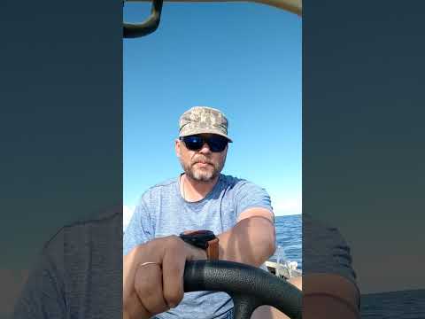 Видео: Лето не за горами! #fishing #boat