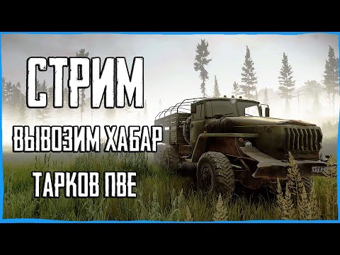 Видео: Стрим Тарков ПВЕ! Лут на бартер! Escape from Tarkov PVE