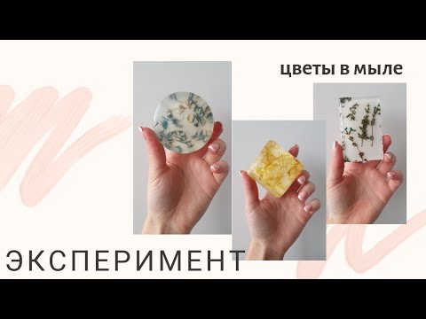 Видео: #мылоручнойработы #шок #эксперимент ШОК эксперимент. Цветы в мыле.