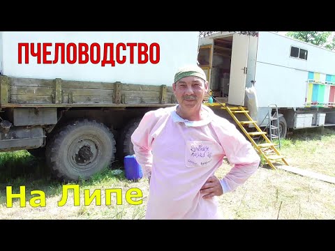 Видео: По всем пасекам леса / пасека Куриловых / Пчеловодство.