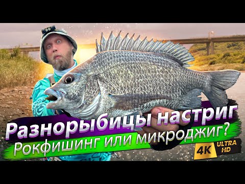 Видео: 🇹🇼 Чем отличается рокфишинг и микроджиг? Ловлю морскую рыбу в устье реки