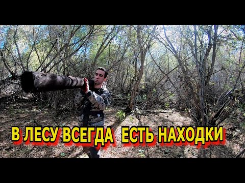 Видео: Деловая труба в лесу.Там где всегда есть находки
