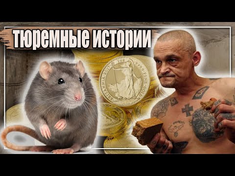 Видео: ТЮРЕМНЫЕ ИСТОРИИ / ПРО КРЫСУ И АРЕСТАНТА