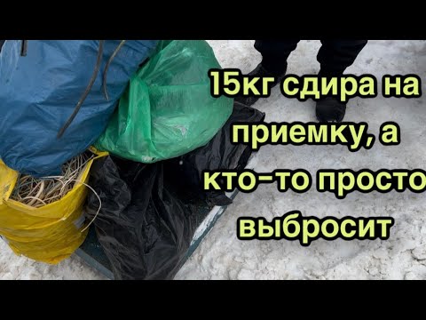 Видео: Сдаем полимеры: кабельный сдир, пет и канистру. И металл🙃
