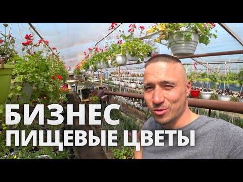 Видео: Бизнес Пищевые Съедобные  цветы +  бизнес микрозелень зеленый шеф