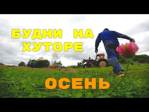 Видео: БУДНИ НА ХУТОРЕ ЗАГАЙКИ. Осень 2025