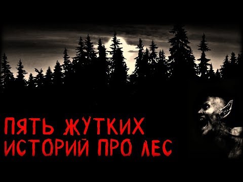 Видео: Истории на ночь (5в1): Пять жyтких историй про Лес