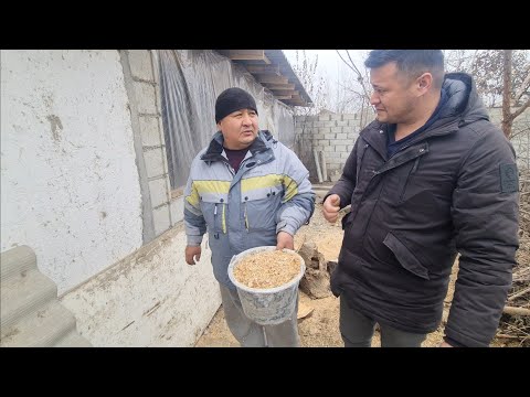 Видео: ОХУНОВ ТВ УЙИГА  БОСТИРИБ БОРДИК