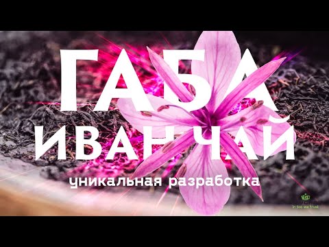 Видео: Габа иван-чай. Уникальная разработка