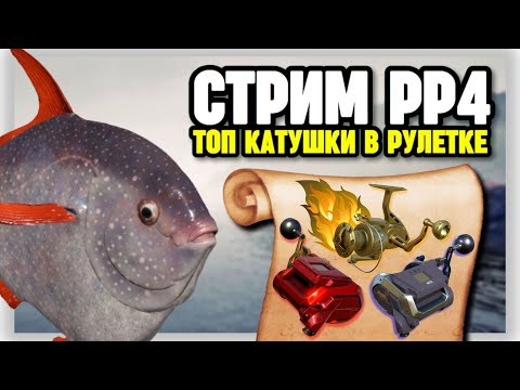 Видео: 🔴 СТРИМ РР4┃🔥ЗА РЕДКОЙ РЫБОЙ НА ГЛУБИНЫ НОРВЕЖСКОГО МОРЯ┃🎁 РАПТОР и ВЕНГА в рулетке┃maXS1k