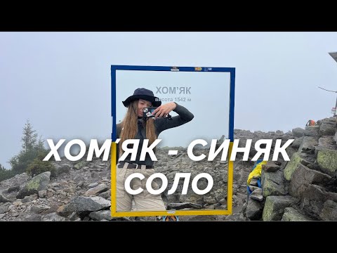 Видео: СОЛО ПОХІД. ХОМʼЯК- СИНЯК 2025 12 жовтня. ЯК Я ЗНАЙШЛА ПСА ЯКИЙ СТАВ СПРАВЖНІМ ДРУГОМ НА 22 км