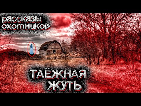 Видео: Таинственные Случаи в ТАЙГЕ. Рассказы охотников | Мистические Страшные Истории на ночь