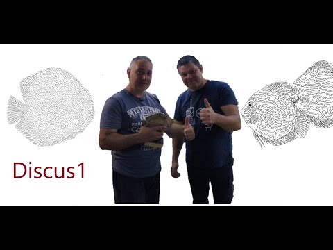 Видео: Мы в гостях у Сергея Шилова. Питомник Дискус1. Discus1