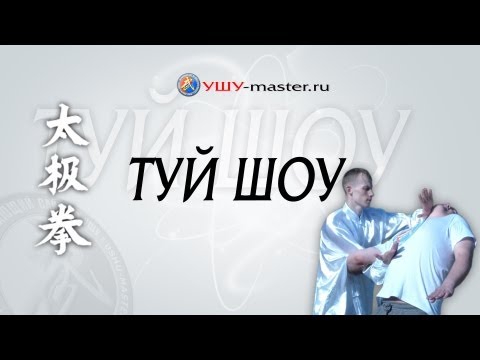 Видео: Техника Туй шоу и Циньна