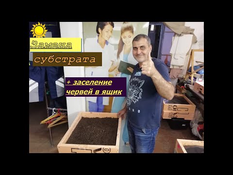 Видео: Замена субстрата,заселение червей!