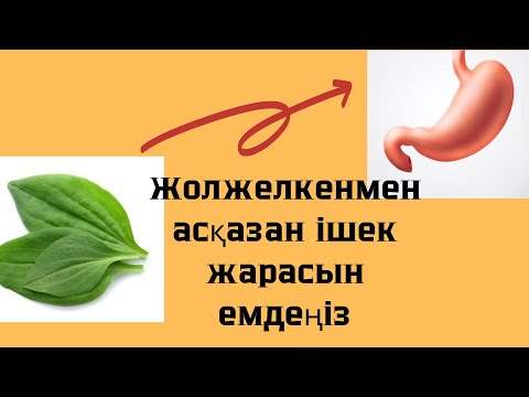 Видео: Жолжелкеннің сіз білмейтін пайдасы