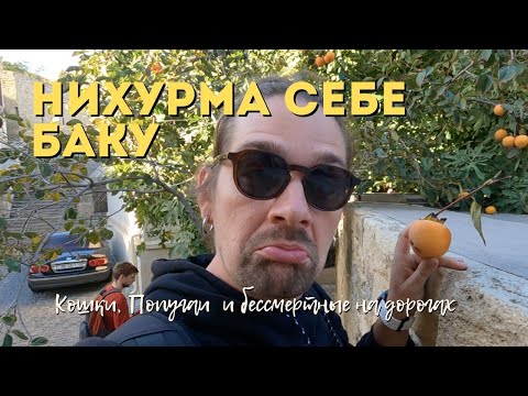 Видео: Ни Хурма Себе Баку ! | Азербайджан Что тут необычного? | Прогулка по городу |