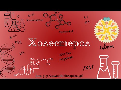 Видео: Холестерол/Cholesterol