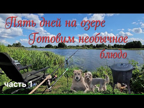 Видео: Вырвались на рыбалку. Пять дней на красивейшем озере. Готовим необычное блюдо.