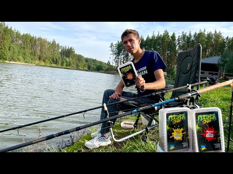 Видео: Ловля шалених коропів на новій водоймі!!! Долина озер вражає)))