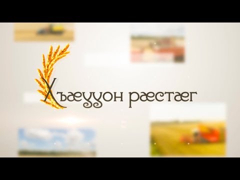 Видео: «Хъæууон рæстæг». Цабиты Валентинайы алӕвӕрд.Орчъосан. 13.08.2019.