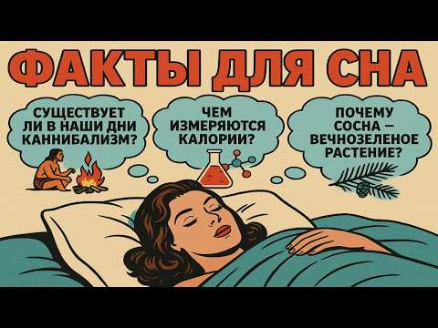 Видео: Факты для сна: Удивительные и интересные факты, чтобы быстро уснуть