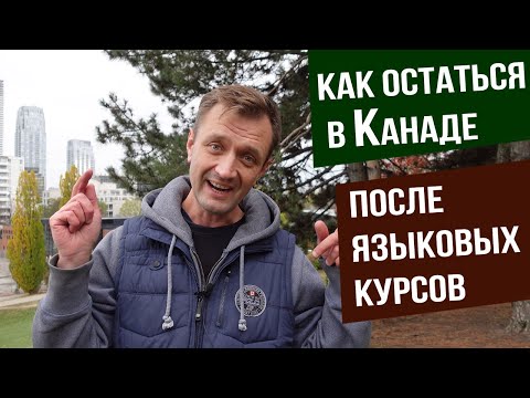 Видео: Как остаться в Канаде после языковых курсов и как поступить в колледж не сдавая IELTS.