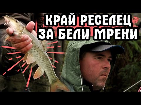 Видео: За БЕЛИ МРЕНИ край Реселец