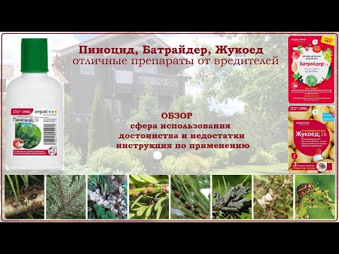 Видео: Инсектициды Пиноцид, Батрайдер и Жукоед - эффективные средства от садовых вредителей на растениях