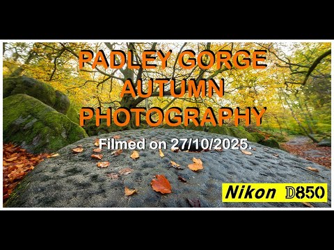 Видео: ЕЖЕГОДНОЕ ОСЕННЕЕ ПАЛОМНИЧЕСТВО В УЩЕЛЬЕ ПАДЛИ, РАЙОН ПИК. #nikond850 #осень #фотография #осень