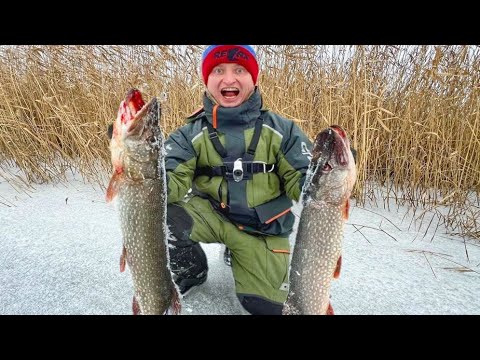 Видео: ВОТ ЭТО МОНСТРЫ!!! ЗАБРАЛИСЬ В ДЕБРИ И ШИКАРНО ОТЛОВИЛИСЬ!!! Зимняя рыбалка. Рыбалка 2025.