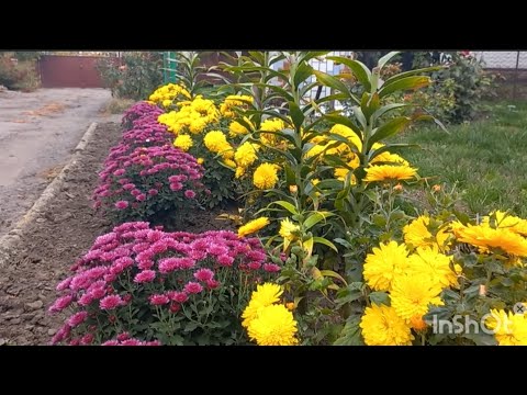 Видео: ПРО ЖІНКУ -ВОСЬМИРУЧКУ🙂