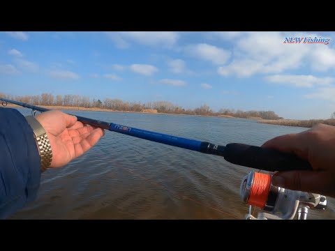 Видео: Ловля жирной плотвы на фидер в ноябре с дальней дистанции