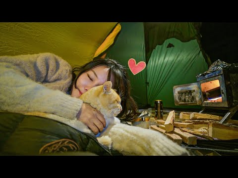 Видео: теплый зимний поход с «Нони» / еще незнакомая разлука / одиночный поход