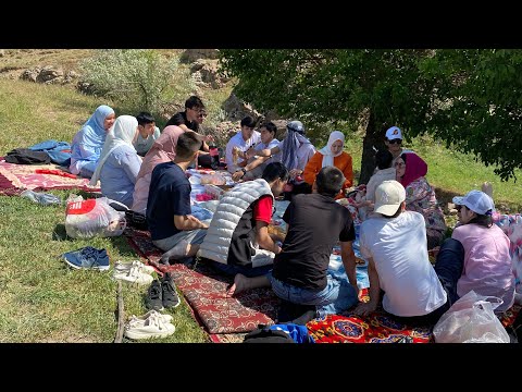 Видео: Sinfdoshlar bilan piknik #пикник #узбекистан #узб #школа