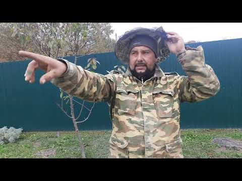 Видео: Банк Маток Прошло 2 месяца!!!