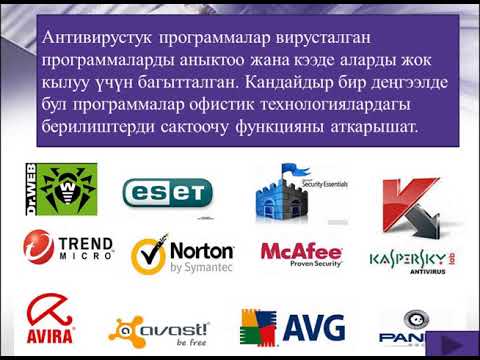 Видео: Компьютердин программалык жабдылышы