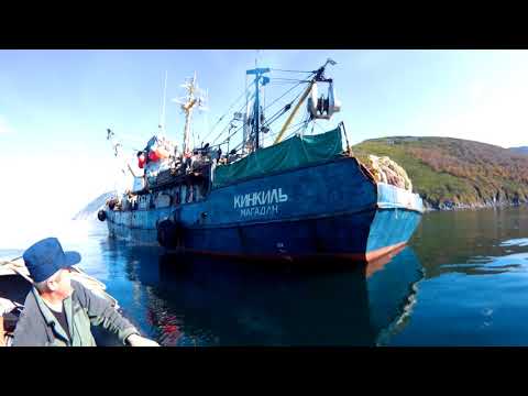 Видео: РС 300 Кинкиль