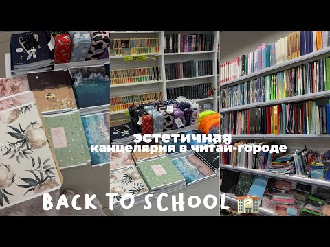 Видео: BACK TO SCHOOL 2025 эстетичная канцелярия в читай городе 
