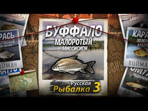 Видео: "Мутант" Буффало Малоротый. Русская Рыбалка 3.