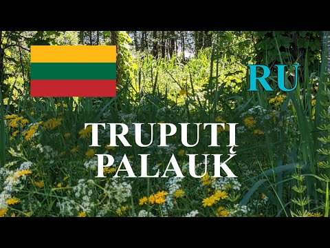 Видео: ЛИТОВСКИЙ ЯЗЫК - 80 - TRUPUTIS. LAUKTI