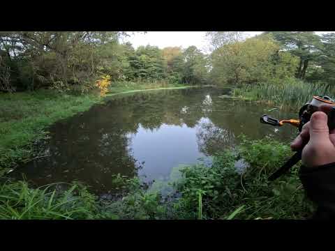 Видео: 30.08.2025 Окуньки.