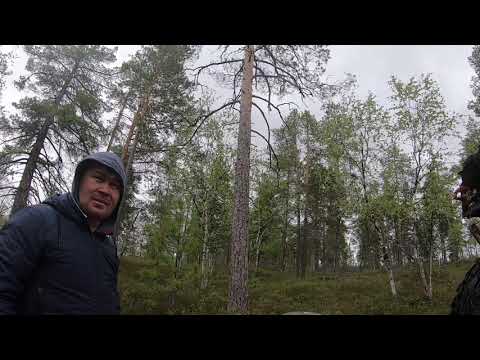 Видео: Квадроцикл СОКОЛ ПРО в г. Когалыме - в гостях у ханта Сашки