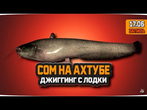 Видео: Сом на реке Ахтуба — Русская Рыбалка 4