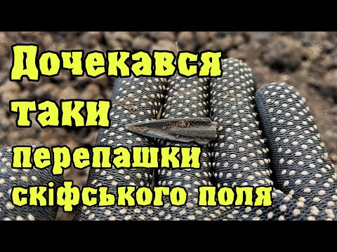 Видео: Дочекався таки перепашки скіфського поля Коп з Кощей Х45