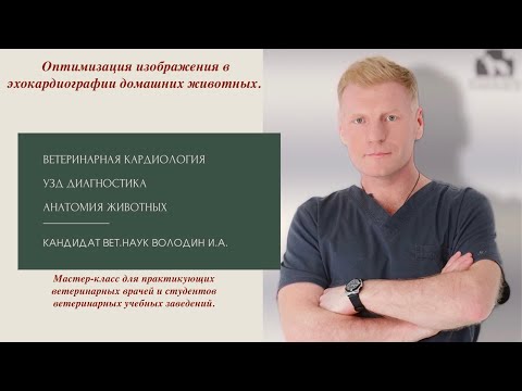 Видео: Оптимизация изображения в эхокардиографии домашних животных. Мастер-класс для ветеринарных врачей .