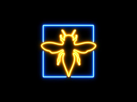 Видео: Турнир Г-на Шершня