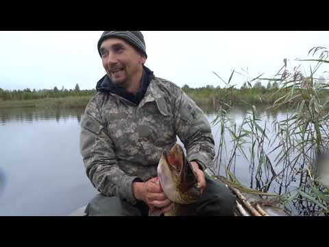 Видео: ТРОФЕЙНЫЕ ЩУКИ МОНСТРЫ НА РОГАТКУ.