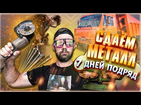 Видео: СДАЁМ МЕТАЛЛ 7 ДНЕЙ ПОДРЯД!!!